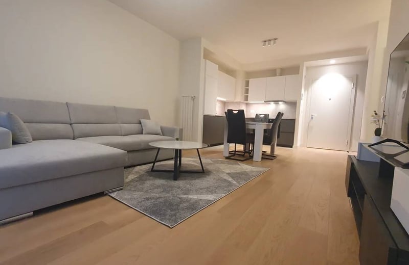 Rent of a new 2-room apartment, 56 m², Belgrade, Serbia